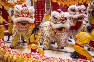 Chinese New Year Celebration